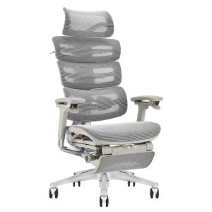 Ghế công thái học Ergonomic Next Z Grey