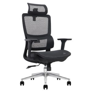 Ghế công thái học Ergonomic Wave PL168A-BL