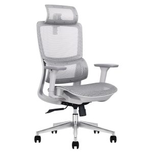 Ghế công thái học Ergonomic Wave PL168A-GR