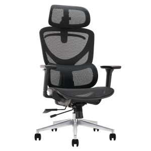 Ghế công thái học Ergonomic Aurora PL229A-BL