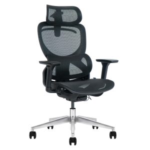 Ghế công thái học Ergonomic Arco Black