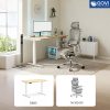 Combo bàn ghế công thái học Premium Desk Setup PDS-01