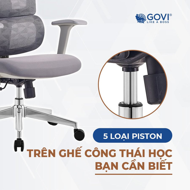 Piston ghế công thái học gồm 5 cấp độ