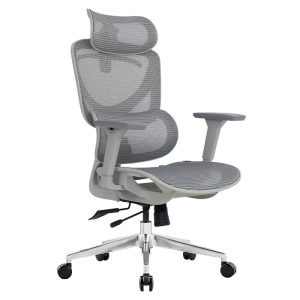 Ghế công thái học Ergonomic Aurora PL229A-GR
