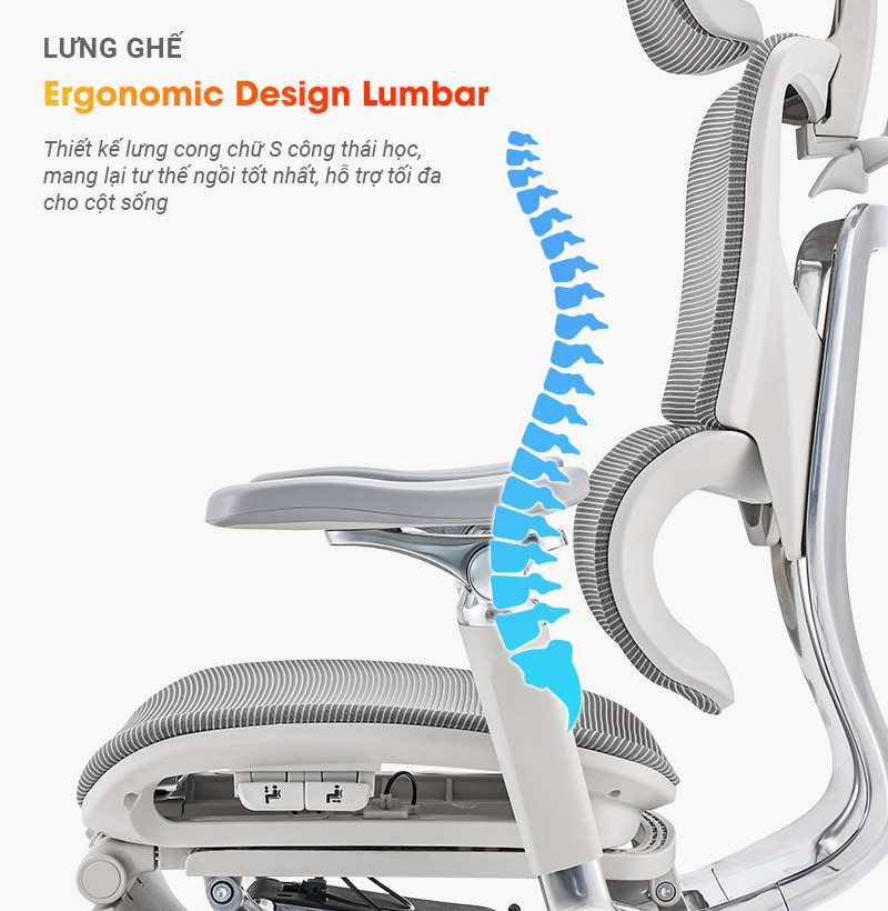 Lưng ghế thiết kế cong chữ S