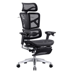 Ghế công thái học Ergonomic Next XZ Black