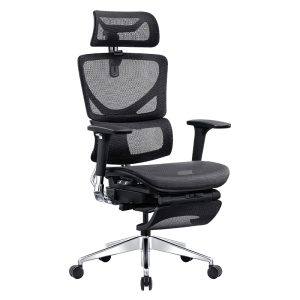 Ghế công thái học Ergonomic Next Y Black