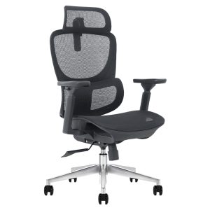 Ghế công thái học Ergonomic Maris E Black