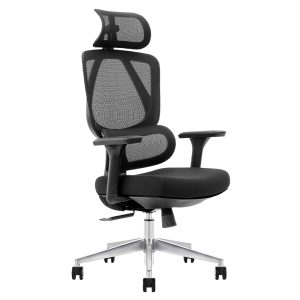 Ghế công thái học Ergonomic Kylin K11A-BL