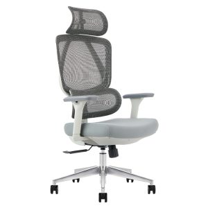 Ghế công thái học Ergonomic Kylin K11A-GR