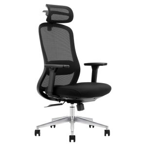 Ghế công thái học Ergonomic Kylin K16A-BL