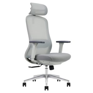 Ghế công thái học Ergonomic Kylin K16A-GR