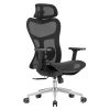 Ghế Công thái học Ergonomic Zoom ZM01A-BL