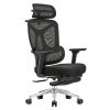 Ghế Công thái học Ergonomic Zoom ZM02A-BL
