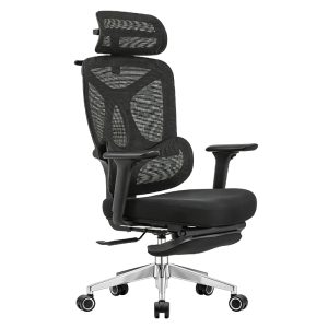 Ghế Công thái học Ergonomic Zoom ZM02A-BL