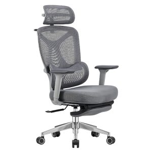 Ghế Công thái học Ergonomic Zoom ZM02A-GR