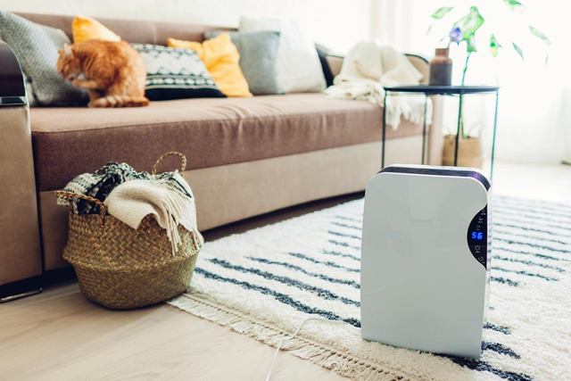 Kiểm soát độ ẩm khu vực sofa